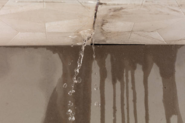 Professional Structural Drying technician working in Whiting, ME